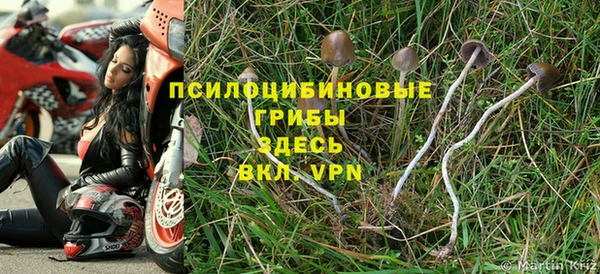 дживик Алексин