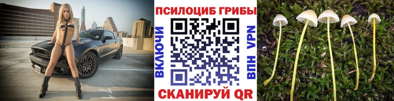 Галлюциногенные грибы GOLDEN TEACHER МЕГА зеркало Омутнинск дарнет шоп